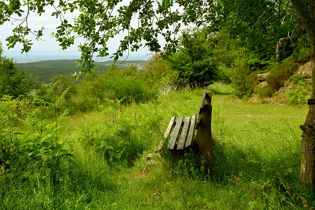 杂的法律程 杂的法律程